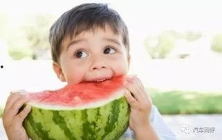 校园小说吃瓜素材视频,吃瓜群众揭秘校园热点事件