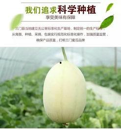 最新吃瓜事件台州,揭秘背后惊人真相