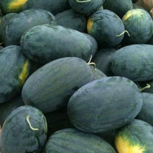 揭阳江边吃瓜,闲坐江边，共享瓜果时光