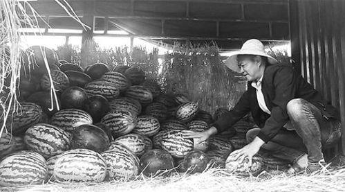 吃瓜群众库尔勒事件,吃瓜群众视角下的真相揭秘