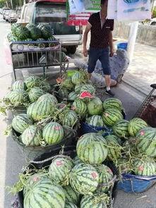 临安吃瓜事件视频最新,一场网络狂欢背后的真相与反思