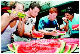 外国人听吃瓜,揭秘网络热点的国际视角