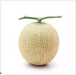 优雅吃瓜方法,掌握优雅观战技巧