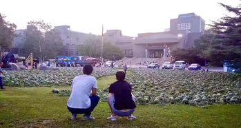 安阳师范吃瓜事件,校园风波背后的真相与反思