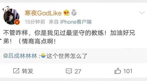 吃瓜直播大橘,吃瓜群众的狂欢盛宴